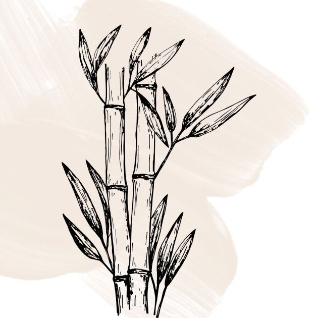 Bamboo Musk 