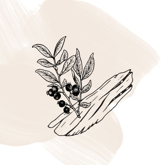 Σανδαλόξυλο & Μαύρο Πιπέρι