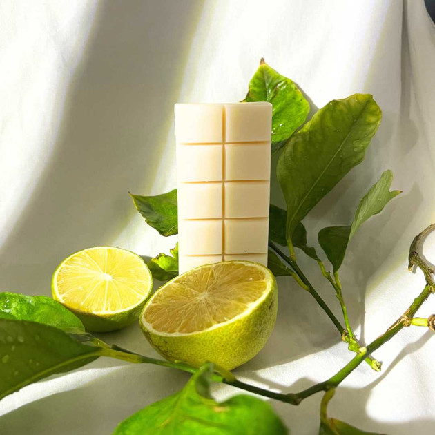 Αρωματική Μπάρα Waxmelt | Φρουτένια Αρώματα 