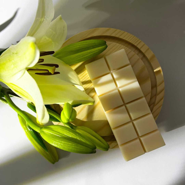 Αρωματική Μπάρα Waxmelt | Καθαριότητα