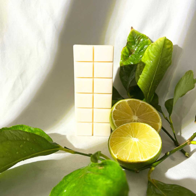 Αρωματική Μπάρα Waxmelt | Φρουτένια Αρώματα 