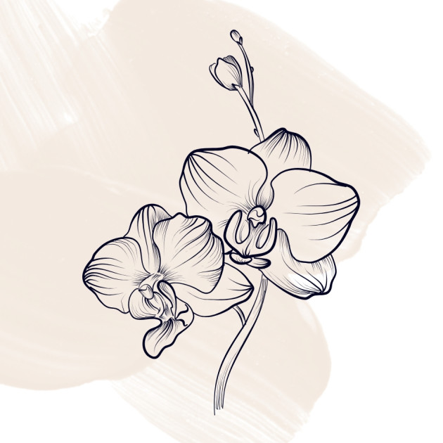 Black Orchid