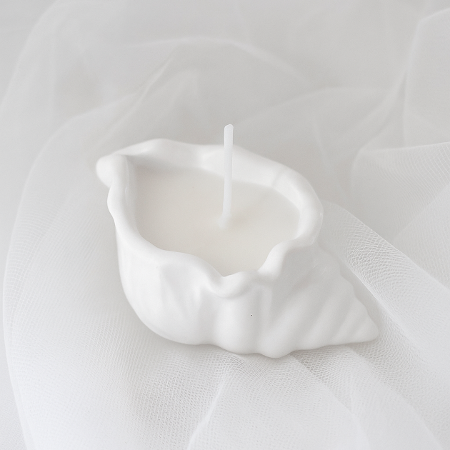 Under The Sea Candle Shell