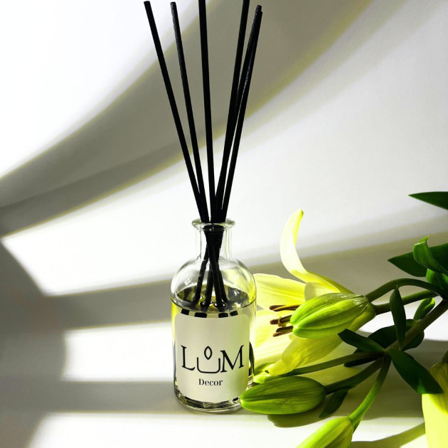 Αρωματικό χώρου 100ml