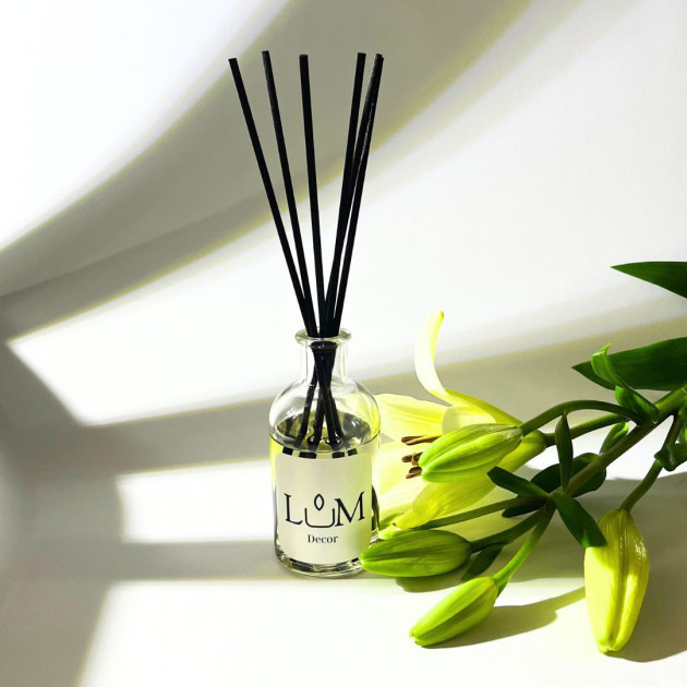 Αρωματικό χώρου 100ml