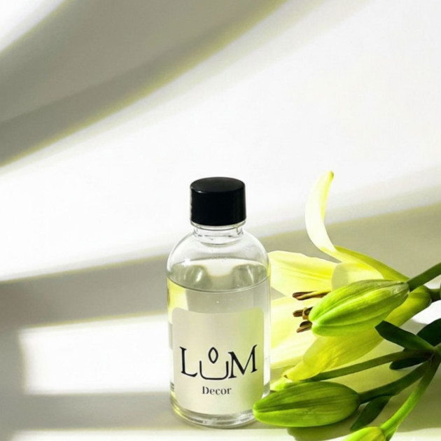 Refill Reed Diffuser 100ml